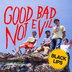 Good Bad Not Evil mp3 Album by Black Lips