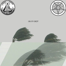 Gray/Grey mp3 Album by $uicideboy$