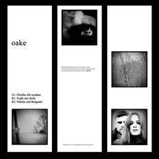 Offenbarung mp3 Album by OAKE