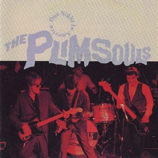 One Night in America mp3 Live by The Plimsouls