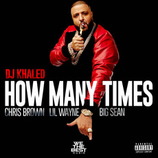 How Many Times mp3 Single by DJ Khaled, Chris Brown, Lil Wayne & Big Sean