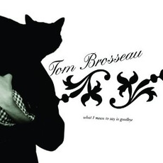 What I Mean to Say Is Goodbye mp3 Album by Tom Brosseau