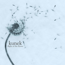 Flight of the Flynns mp3 Album by Kunek