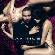 Purpur (Premium Edition) mp3 Album by Animus
