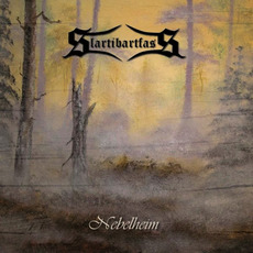 Nebelheim mp3 Album by Slartibartfass