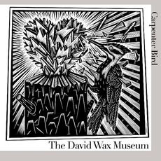 Carpenter Bird mp3 Album by The David Wax Museum