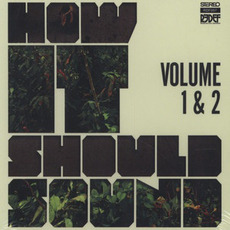 How It Should Sound, Volume 1 & 2 (Re-Issue) mp3 Artist Compilation by Damu the Fudgemunk