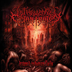 Drowned in Human Fluids mp3 Album by Intravenous Contamination
