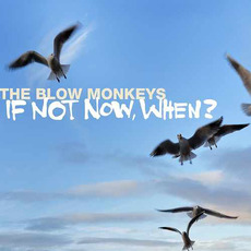 If Not Now, When ? mp3 Album by The Blow Monkeys