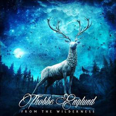 From the Wilderness mp3 Album by Thorbjörn Englund