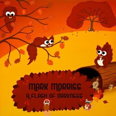 A Flash of Darkness mp3 Album by Mark Morriss