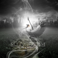 They Flew in Censored Skies mp3 Album by Sleepstream