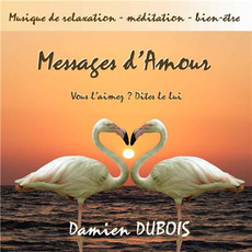 Messages D'Amour mp3 Album by Damien Dubois
