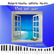 Vue Sur Mer mp3 Album by Damien Dubois