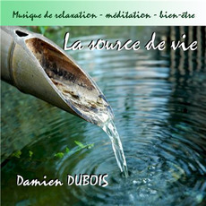 La Source De VIe mp3 Album by Damien Dubois