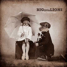 The Time Is Now mp3 Album by Big Little Lions