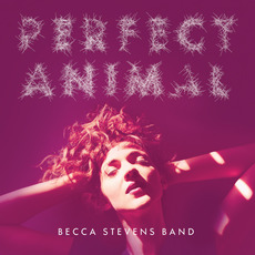 Perfect Animal mp3 Album by Becca Stevens Band