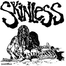 Demo I mp3 Album by Skinless