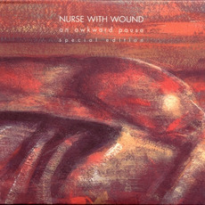An Awkward Pause (Special Edition) mp3 Album by Nurse With Wound