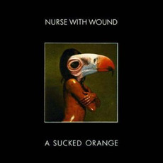 A Sucked Orange mp3 Album by Nurse With Wound