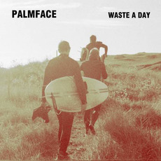 Waste a Day mp3 Album by PalmFace