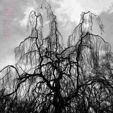 Never Were the Way She Was mp3 Album by Colin Stetson & Sarah Neufeld