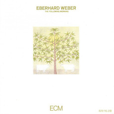 The Following Morning mp3 Album by Eberhard Weber