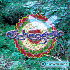 Flight of the Urubus mp3 Album by Entheogenic
