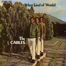 What Kind of World mp3 Album by The Cables