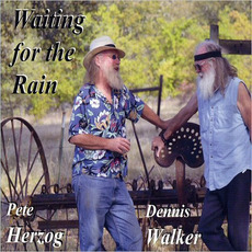 Waiting For The Rain mp3 Album by Pete Herzog & Dennis Walker