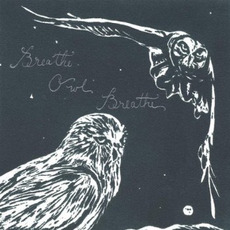 The Fall Album mp3 Album by Breathe Owl Breathe
