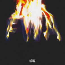FWA mp3 Album by Lil Wayne