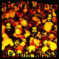 Far From the Sun mp3 Album by Siena Root