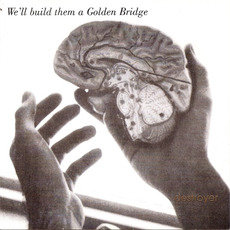 We'll Build Them a Golden Bridge mp3 Album by Destroyer