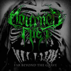 Far Beyond The Grave mp3 Album by Mourned By Flies