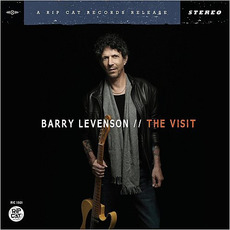 The VIsit mp3 Album by Barry Levenson