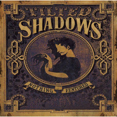 Nothing Ventured mp3 Album by Tilted Shadows