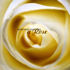 A Rose mp3 Album by Stefano Panunzi