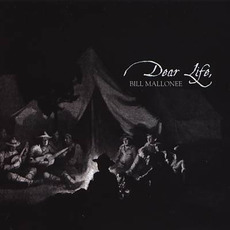 Dear Life mp3 Album by Bill Mallonee