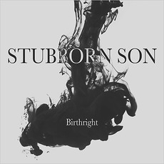 Birthright mp3 Album by Stubborn Son