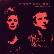Home Economics mp3 Album by Prinzhorn Dance School