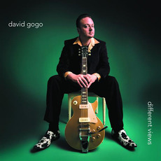 Different VIews mp3 Album by David Gogo
