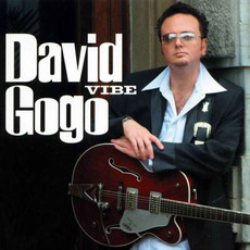 Vibe mp3 Album by David Gogo