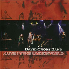 Alive in the Underworld mp3 Live by David Cross Band