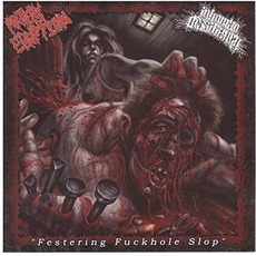 Festering Fuckhole Slop mp3 Compilation by Various Artists