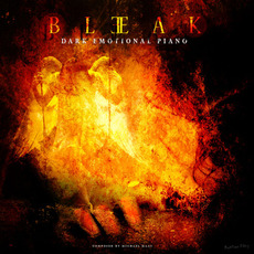 Bleak mp3 Album by Sub Pub Music