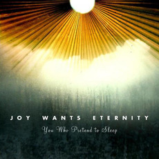 You Who Pretend to Sleep mp3 Album by Joy Wants Eternity