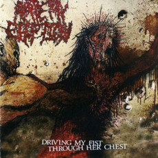 Driving My Fist Through Her Chest mp3 Album by Artery Eruption