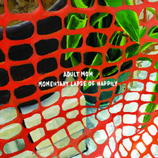 Momentary Lapse Of Happily mp3 Album by Adult Mom