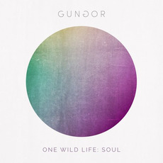 One Wild Life: Soul mp3 Album by Gungor